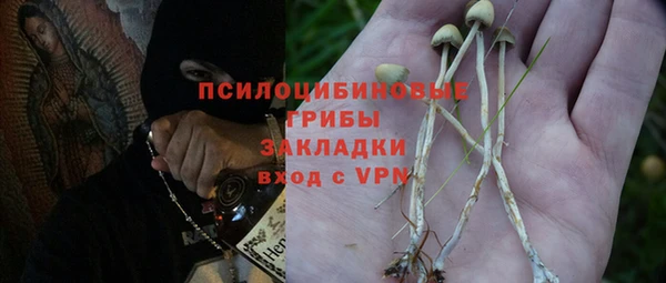 дживик Слюдянка