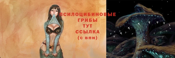 дживик Слюдянка