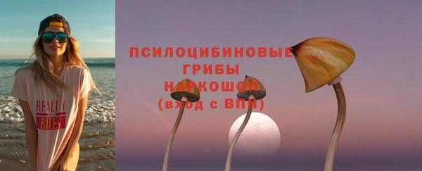 a pvp Сосновоборск