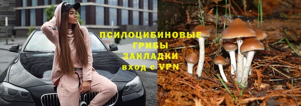 дживик Слюдянка