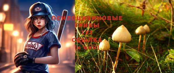 spice Снежногорск
