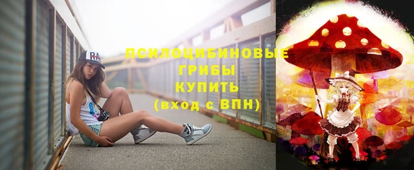 дживик Слюдянка