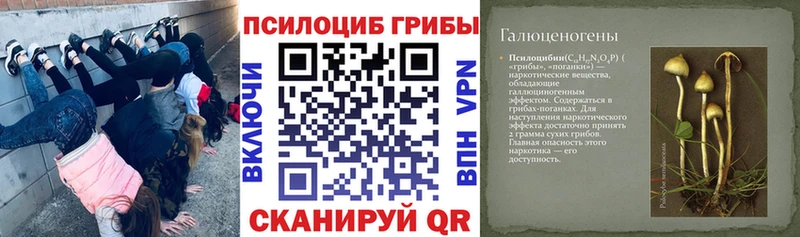 Псилоцибиновые грибы ЛСД  как найти закладки  Назрань 