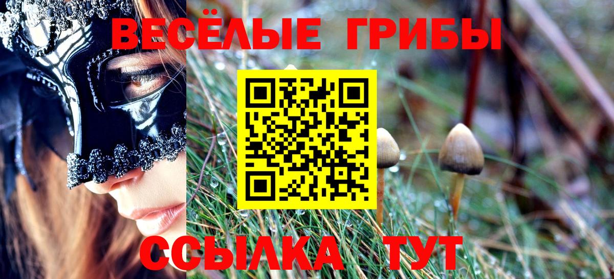 Галлюциногенные грибы Magic Shrooms Назрань