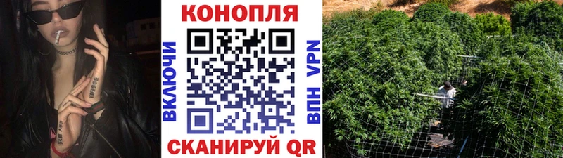 Шишки марихуана SATIVA & INDICA  Назрань 