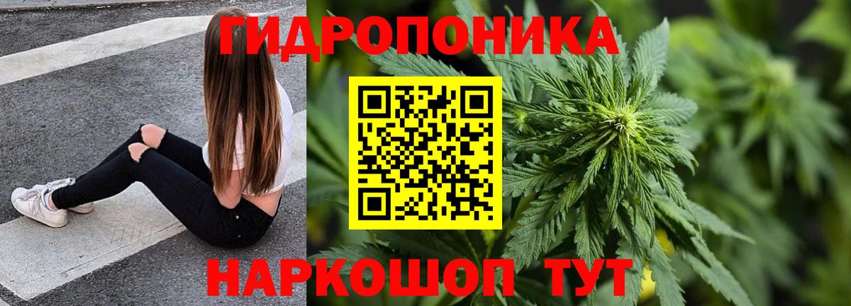 Бошки Шишки гибрид Назрань